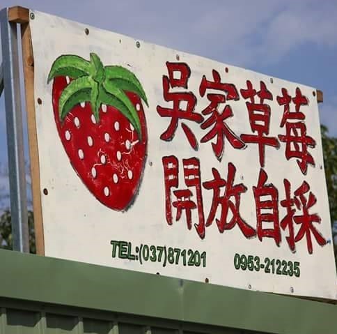 三義吳家草莓園