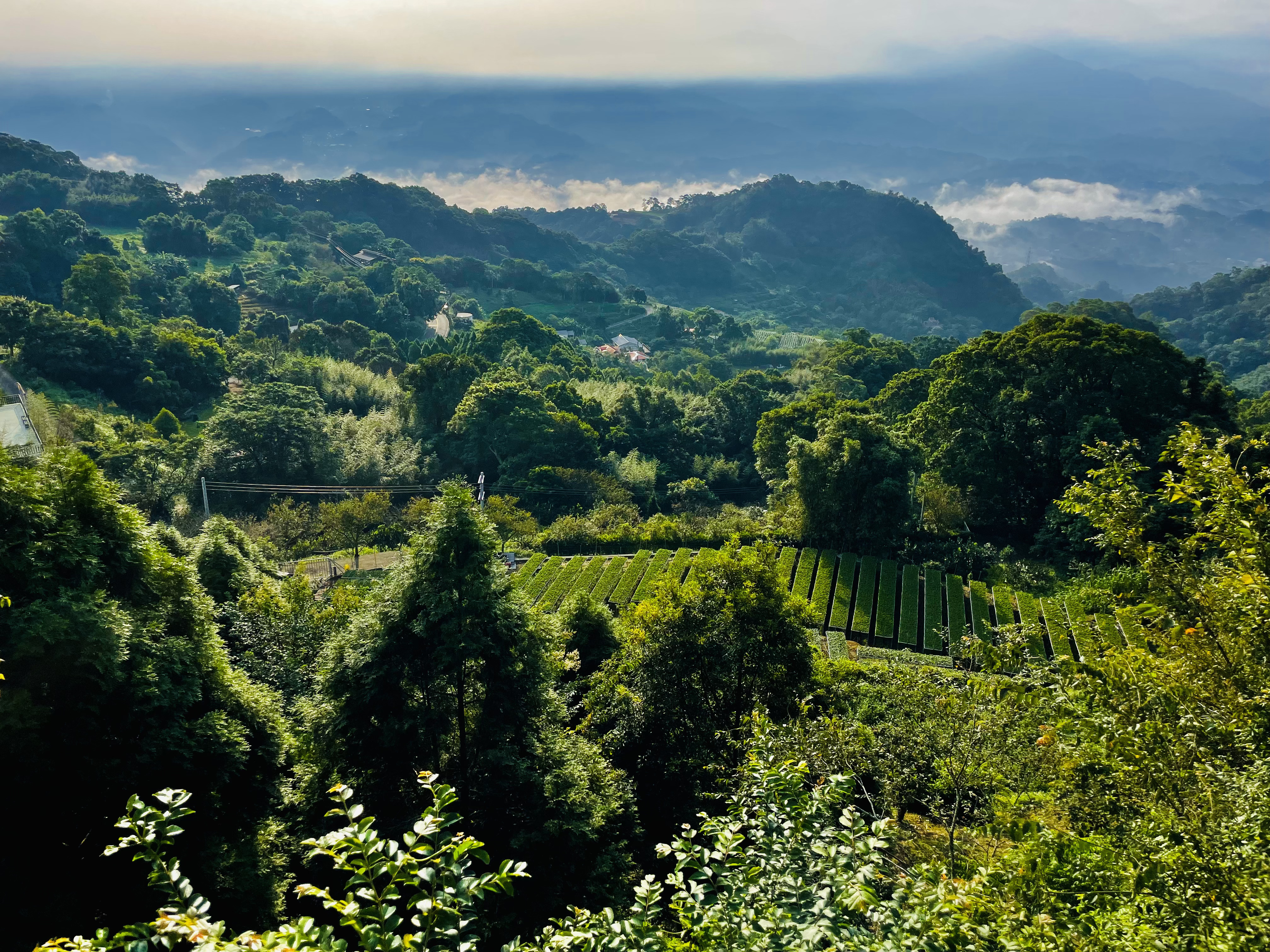 苗栗景點，春田窯、卓也小屋一日遊
