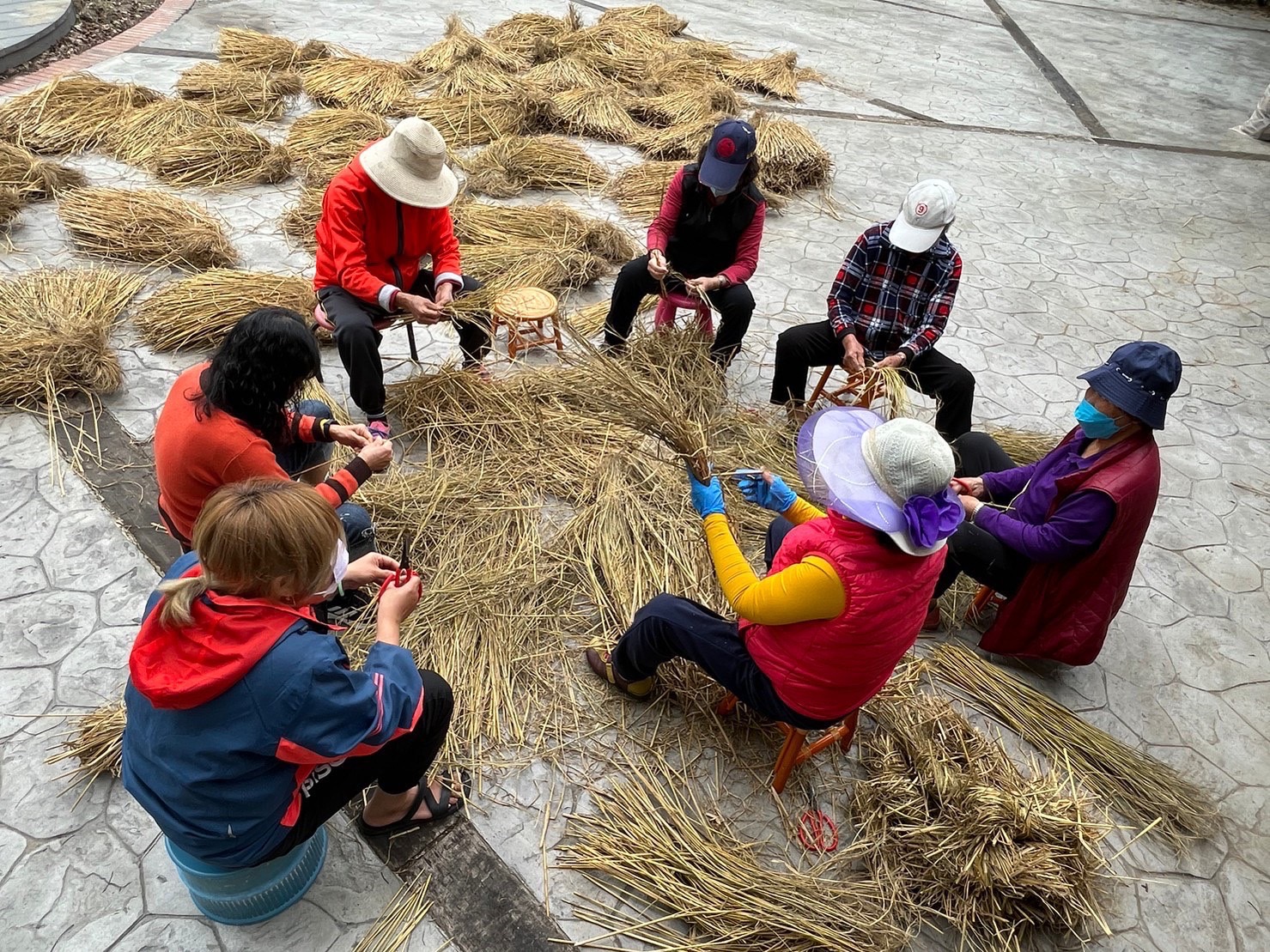 苗栗縣三義雙潭雲火龍協會112年度雲火龍~醉龍編織