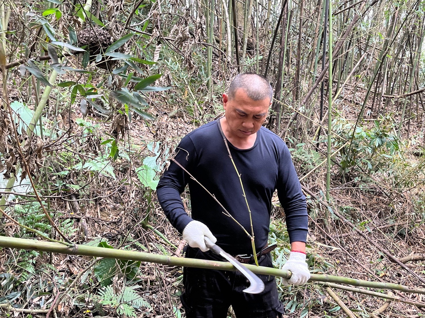 苗栗縣三義雙潭雲火龍協會112年度雲火龍~醉龍編織