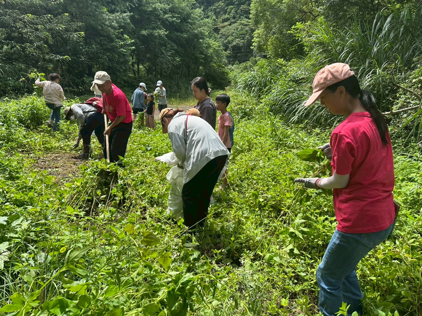 【2025淨山尋藤~滾動微笑】   活動