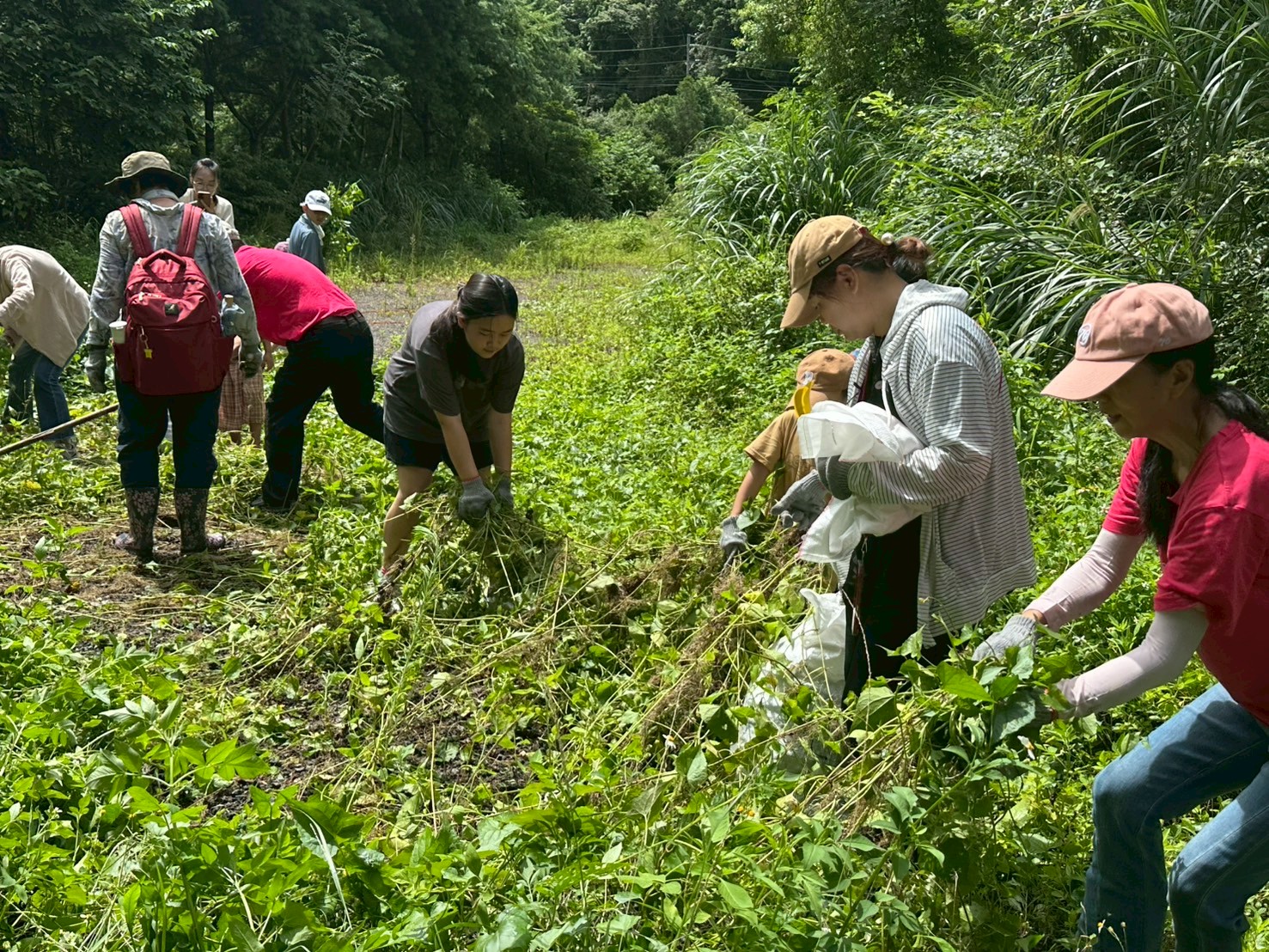 【2025淨山尋藤~滾動微笑】   活動