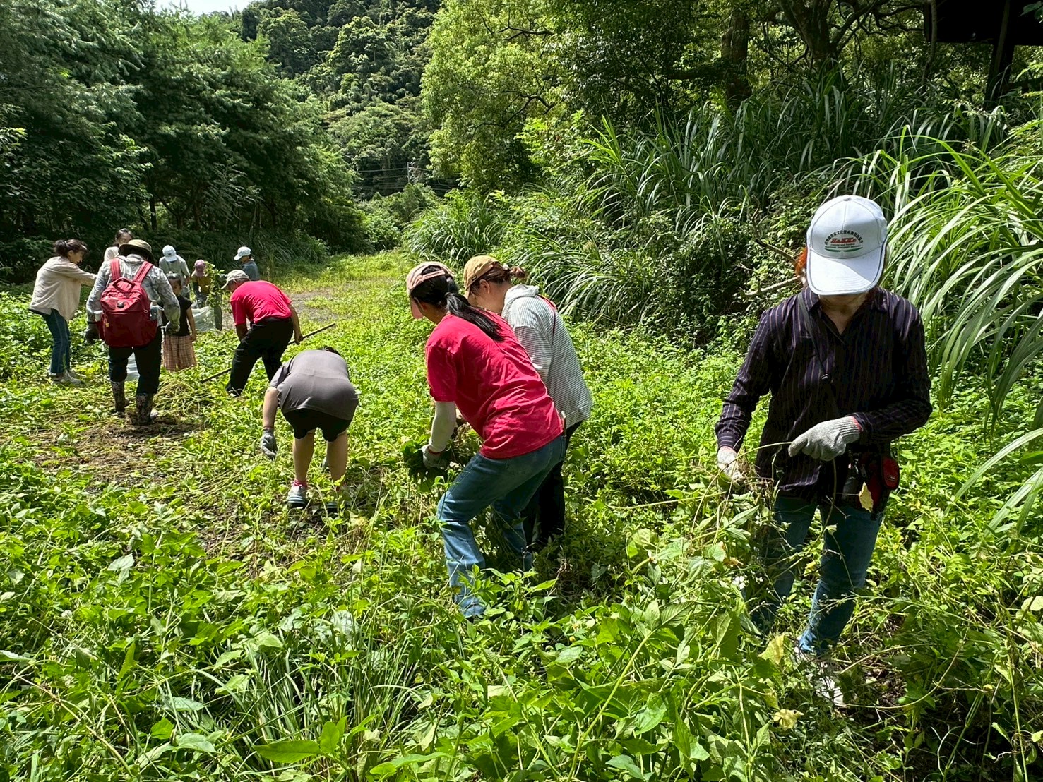 【2025淨山尋藤~滾動微笑】   活動